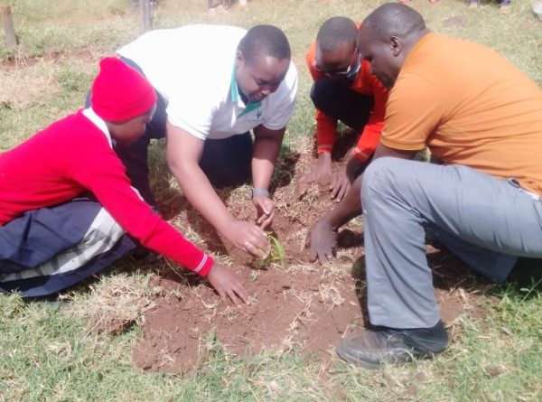 Centre Collaborates with Stakeholders to Spearhead Tree Growing Initiative in Comprehensive and Senior Schools