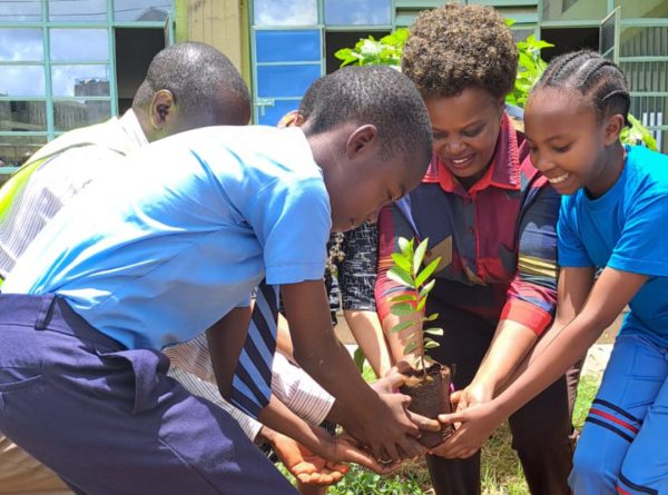 Can the Cultivation of Virtues in Learners Through Tree Growing Restore Greener Spaces in Schools?