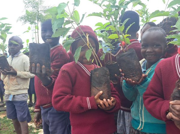 CCL Partners with Stakeholders to Expand the Adopt a Tree, Tag a Virtue Initiative in Primary Schools